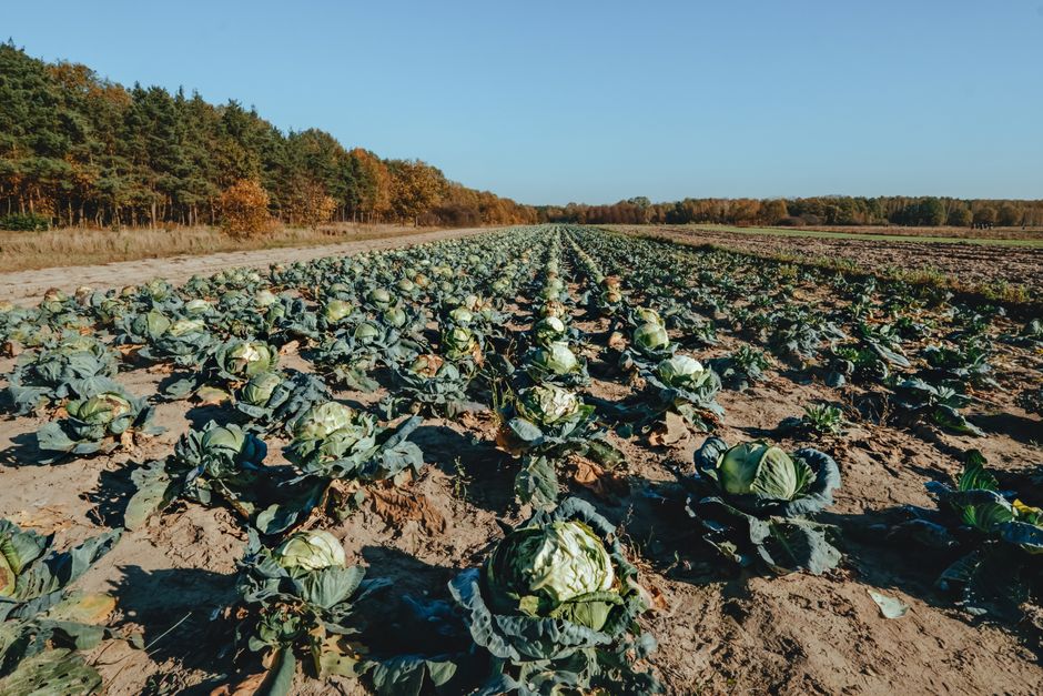 organic farming supplies