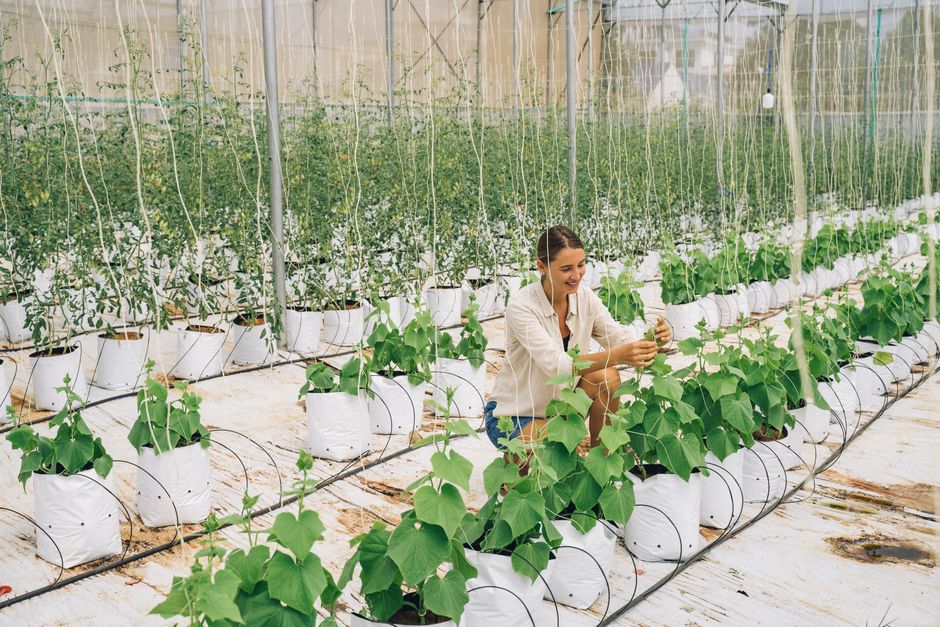 vertical farming technology